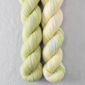 Aisling, Lacewing - 2-Ply Duo - Babette