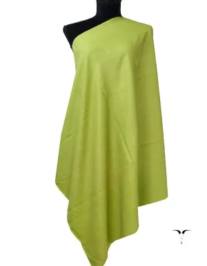 Plain Pashmina Shawl In Shade-14